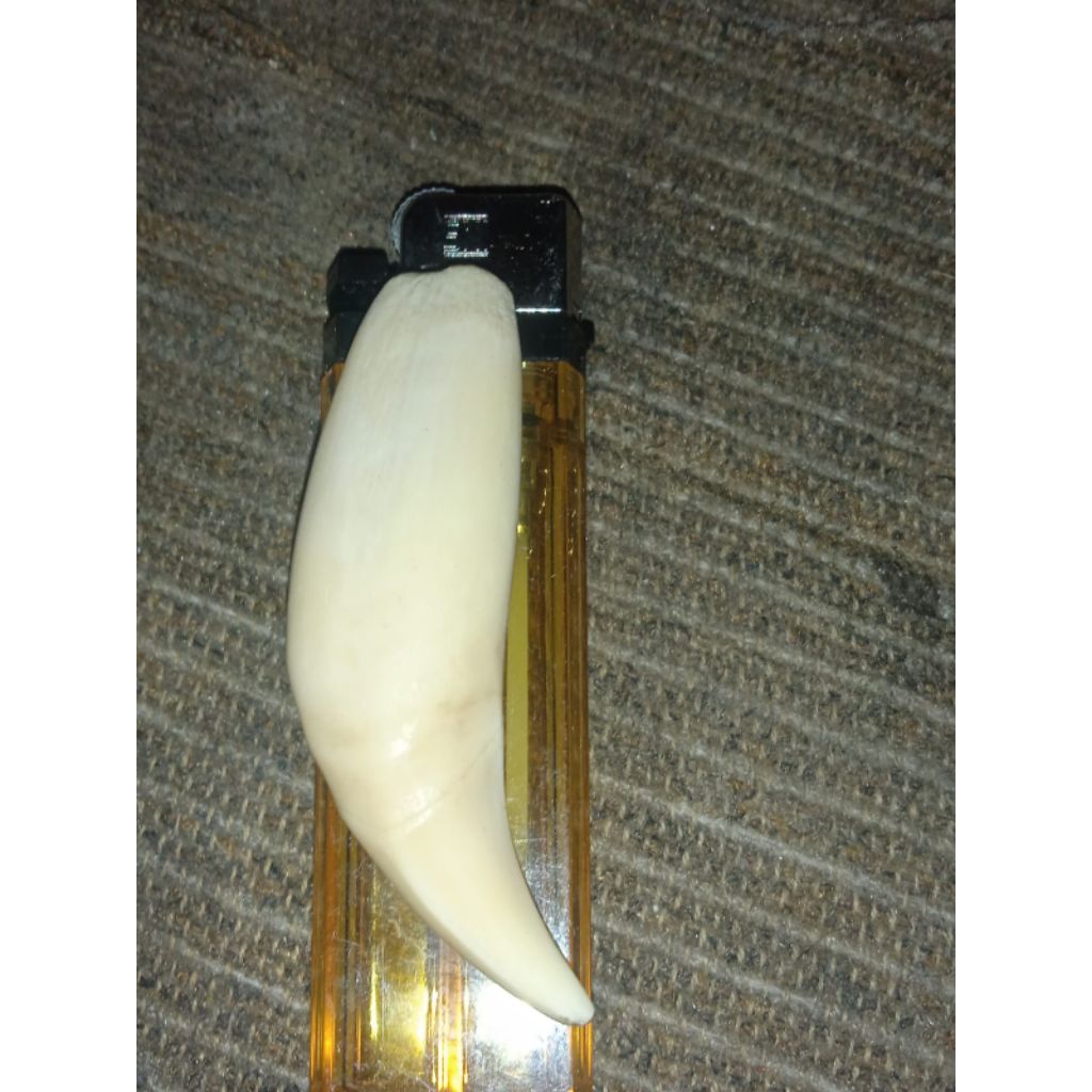 batu H. M. sum. Matra. tiger. r