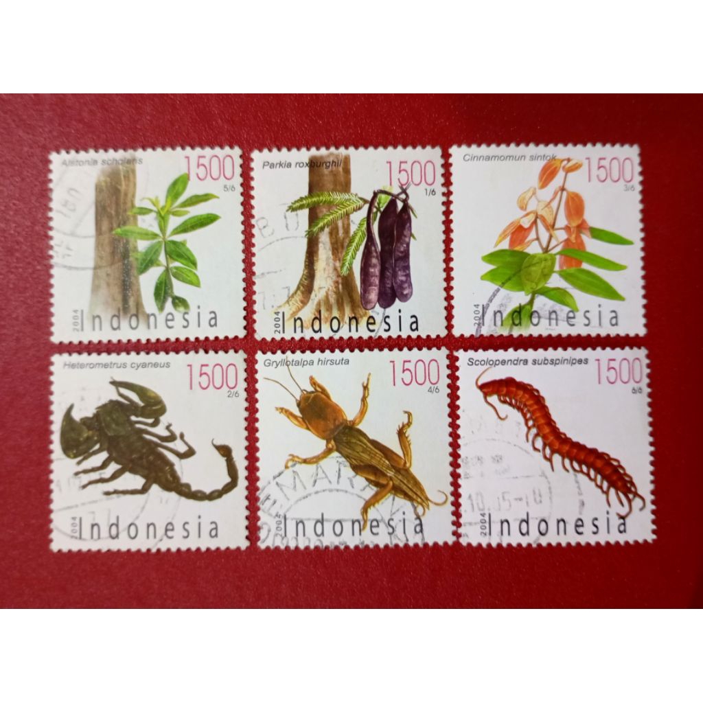 

PRANGKO INDONESIA CINTA PUSPA DAN SATWA