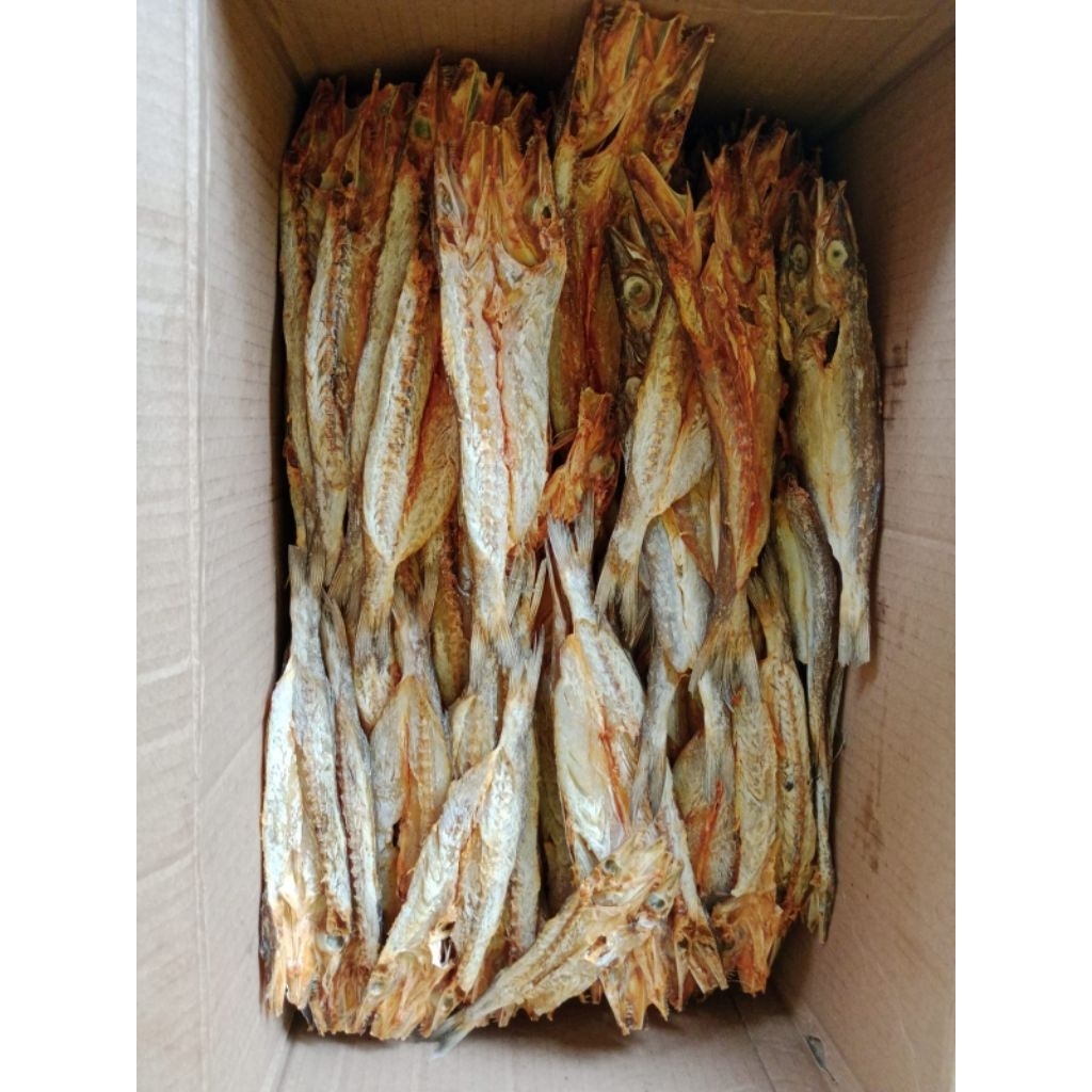 

Ikan Asin Palu palu 1 kg