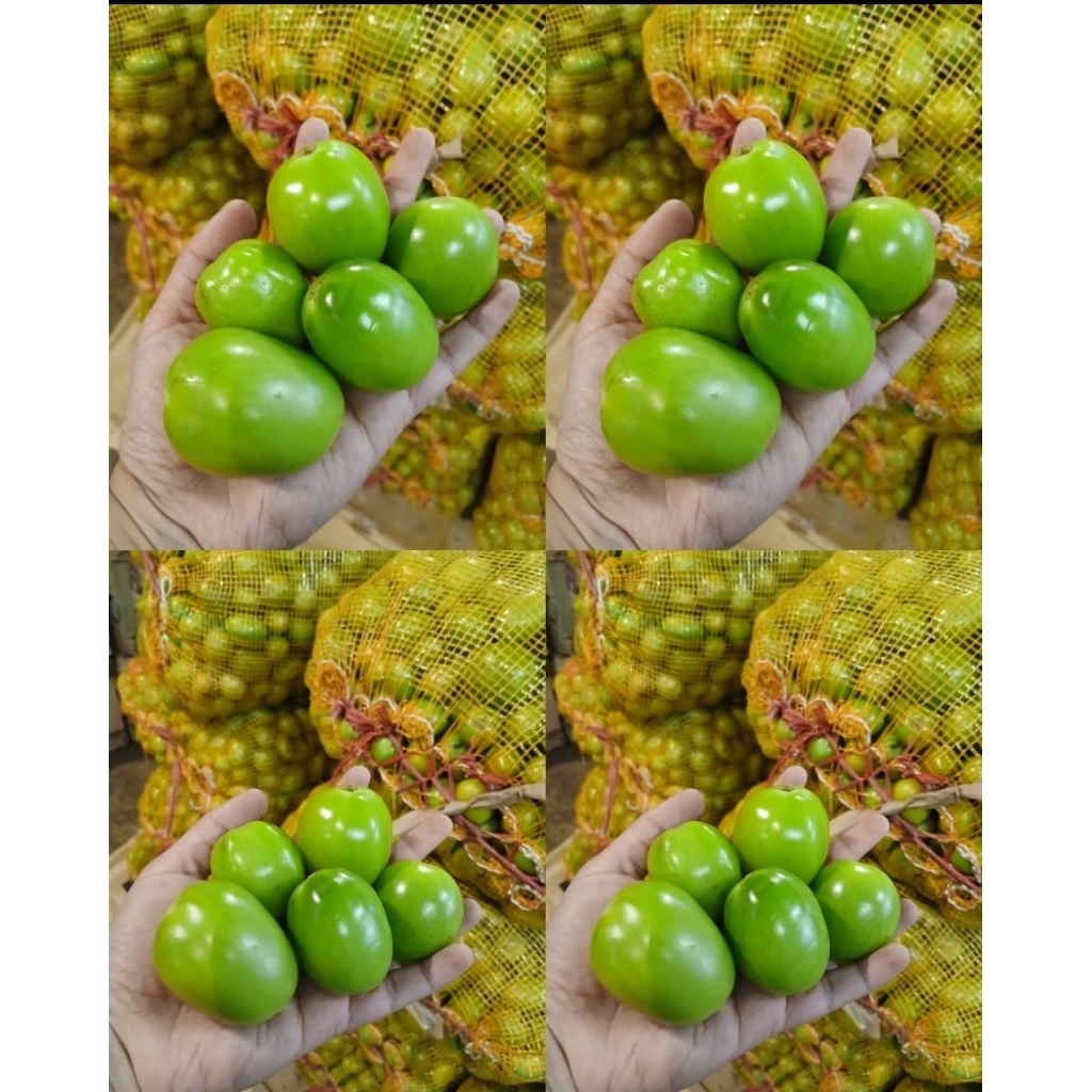 

Tomat Hijau Ijo Segar 250gr - Fresh Tomato Sayur Buah ASEV 250 gram