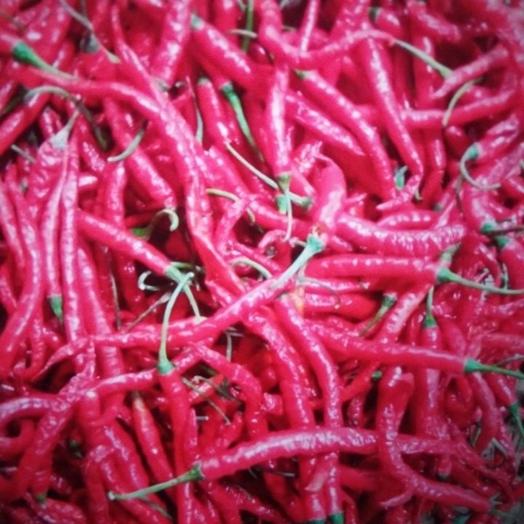 

CABE / CABAI KRITING MERAH 1KG