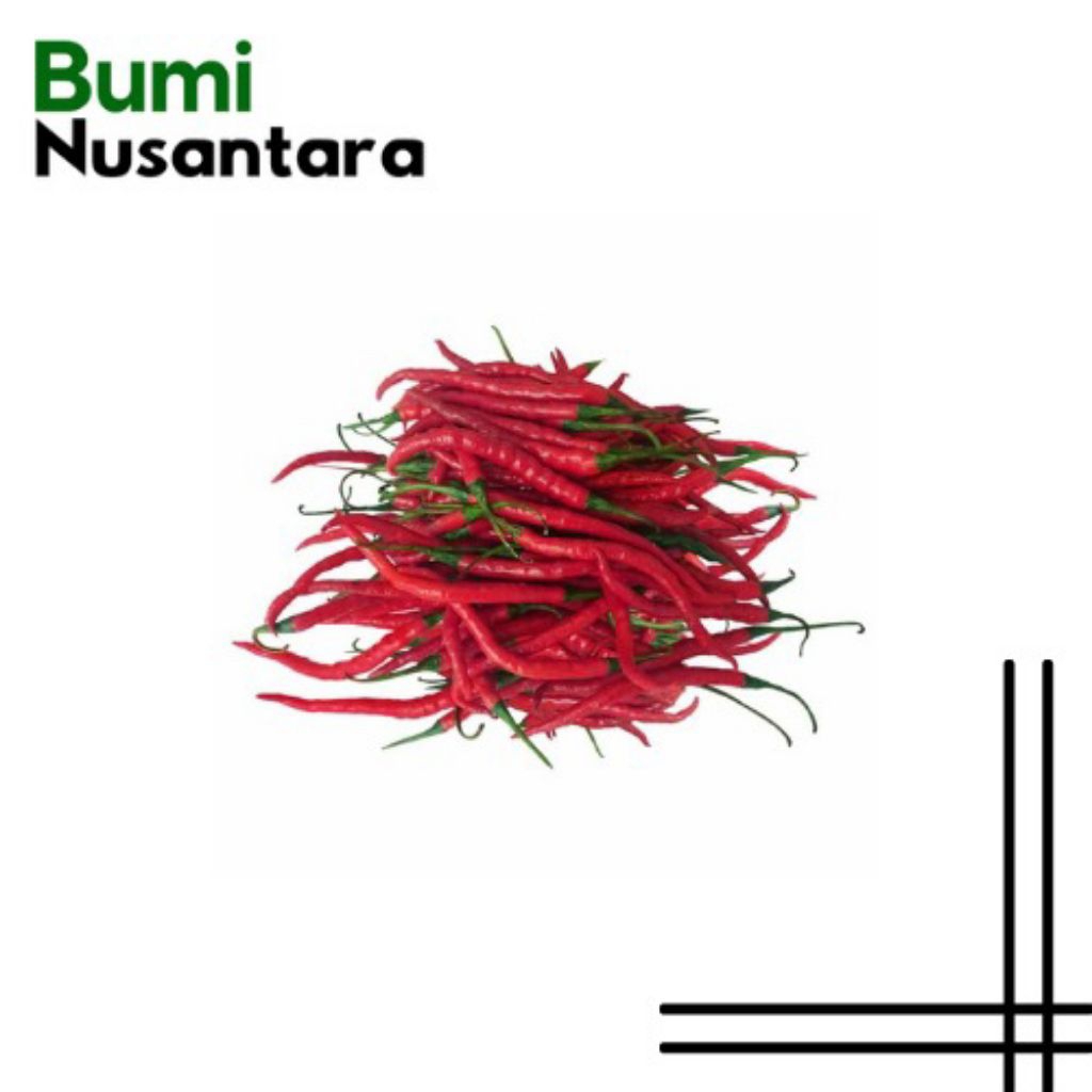 

Cabai merah keriting fresh (Bumi Nusantara)