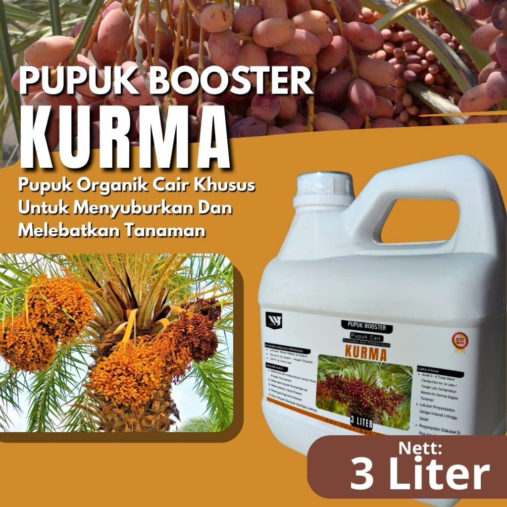 Pupuk Pohon Kurma Cepat Berbuah Lebat | Penyubur Buah Besar Manis Tahan Lama & Berkualitas