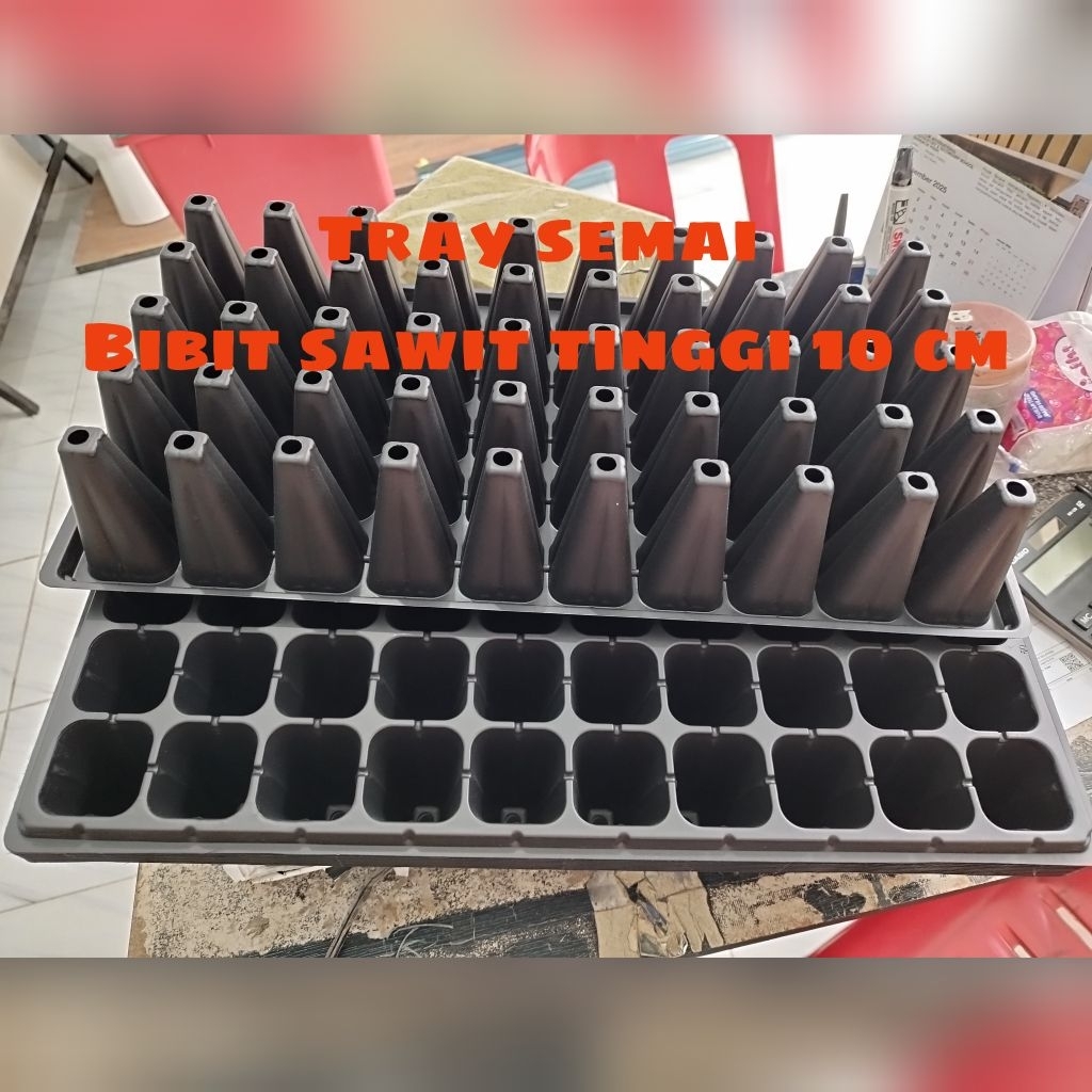 (Medan)TRAY SEMAI TINGGI BIBIT SAWIT 50 LUBANG