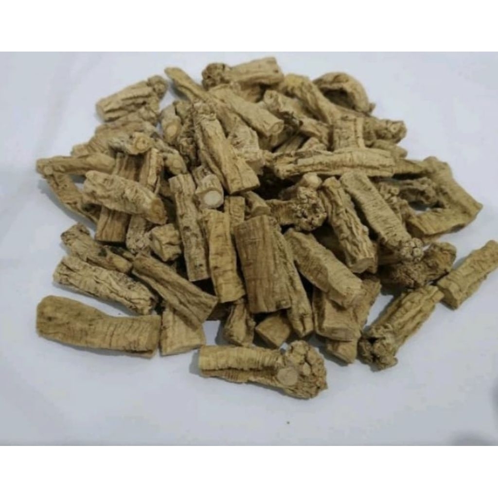 

Jaya Tong Sem / Dang Shen / Tongsim / Codonopsis Radix / Tang Shen 10gr, 25gr, 50gr dan 100gr