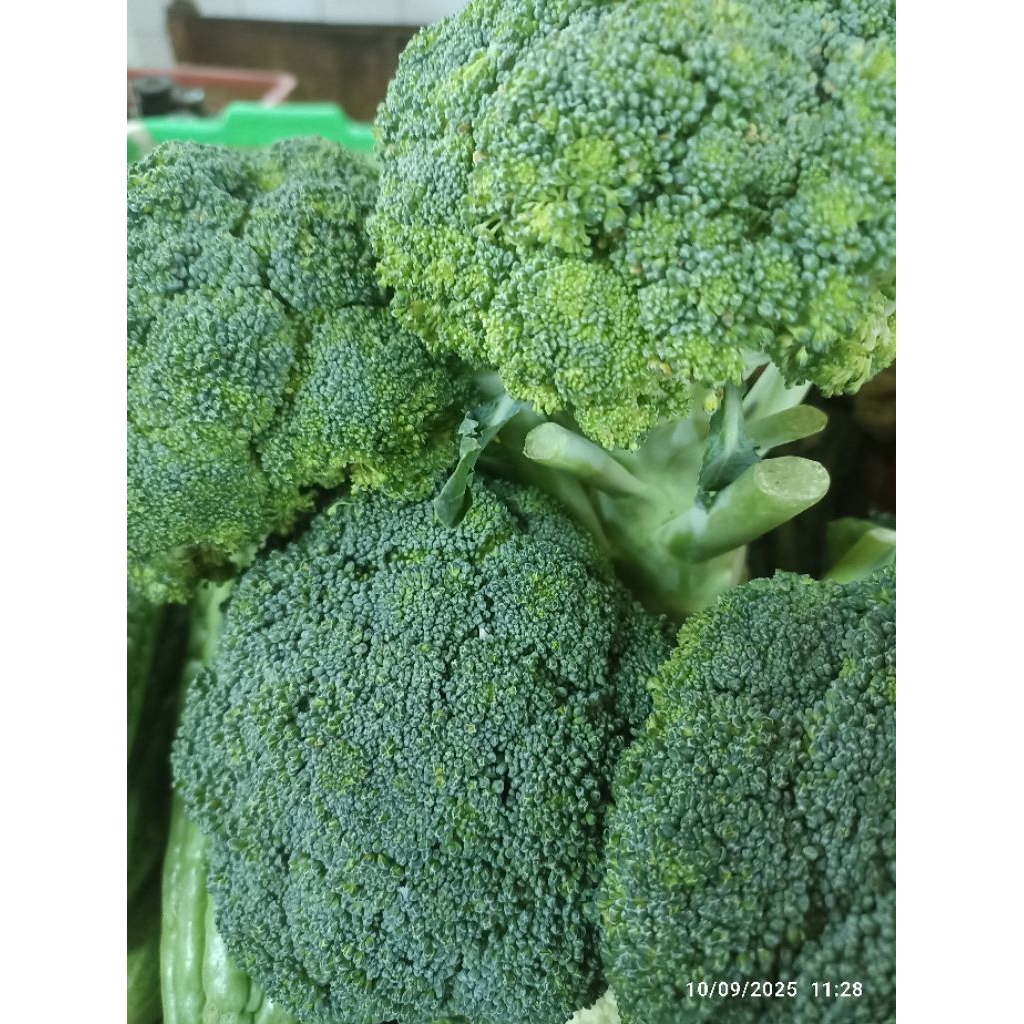 

Brokoli || sayuran hijau brokolli satuan