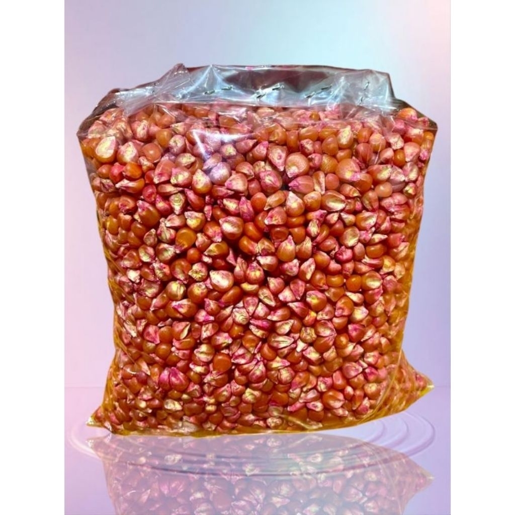 benih jagung sumo sakti 1kg