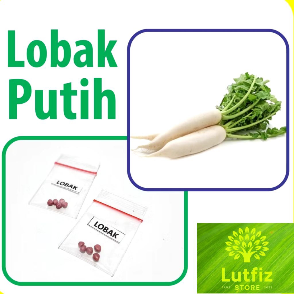 

Lobak Putih Benih Unggulan Berkualitas
