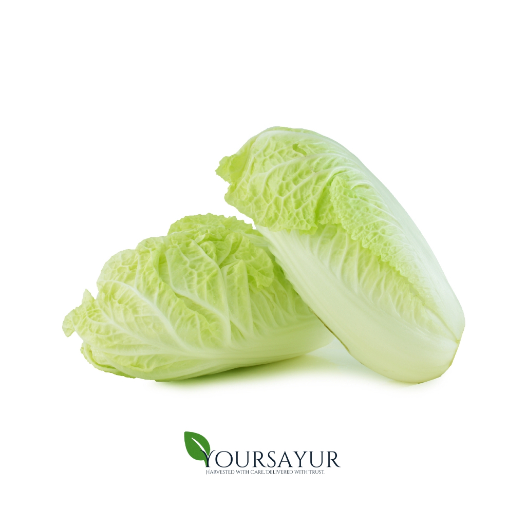 

Sawi Putih Segar | Fresh Sawi Putih | Sayur & Buah