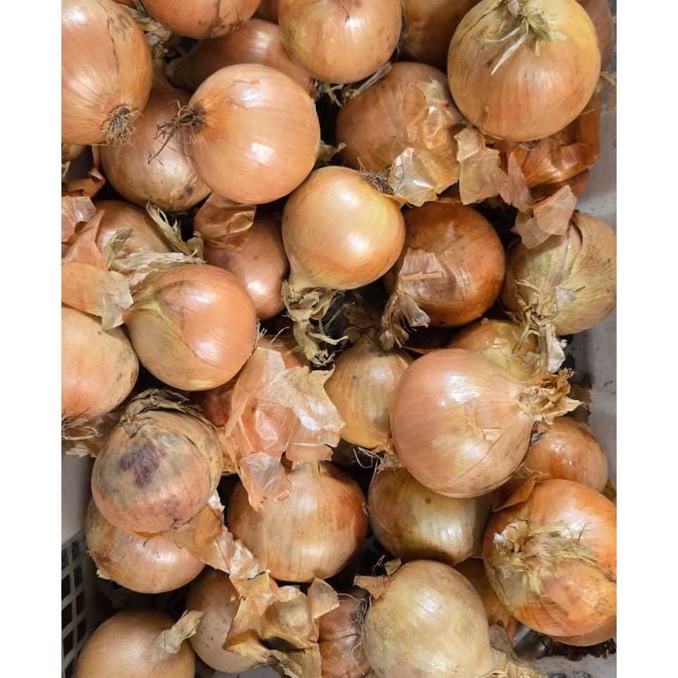 

Bawang Bombay/Bawang Bombai 1kg premium || ReeHans Market
