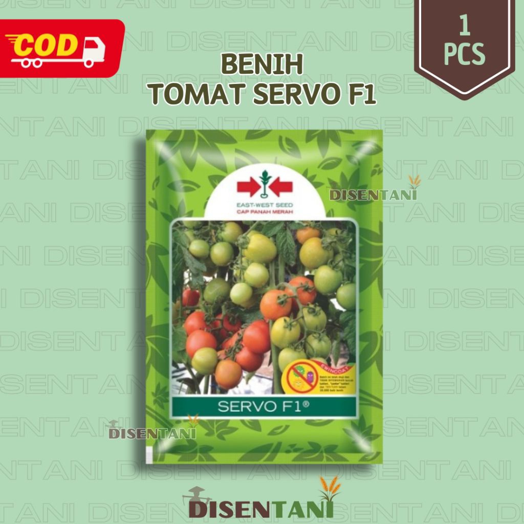 Benih Tomat Servo F1 - Bibit Hibrida Unggul, Buah Lebat, Tahan Penyakit