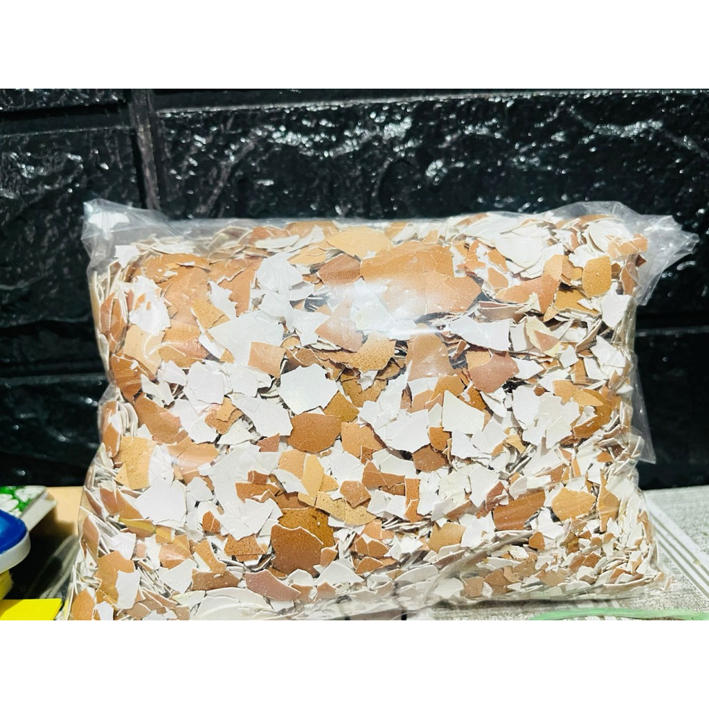 

Cangkang Telur Kemasan 500gram