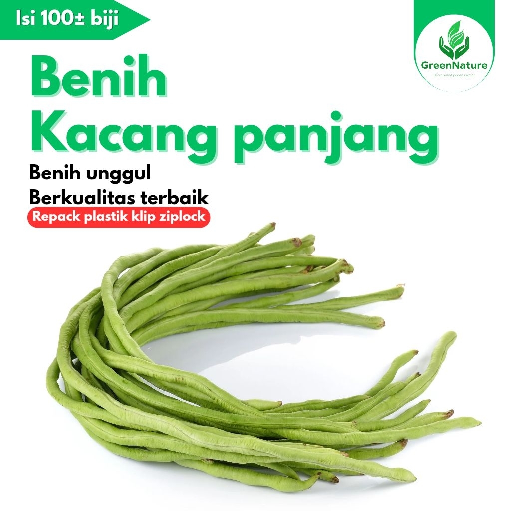

100± BIJI BENIH KACANG PANJANG