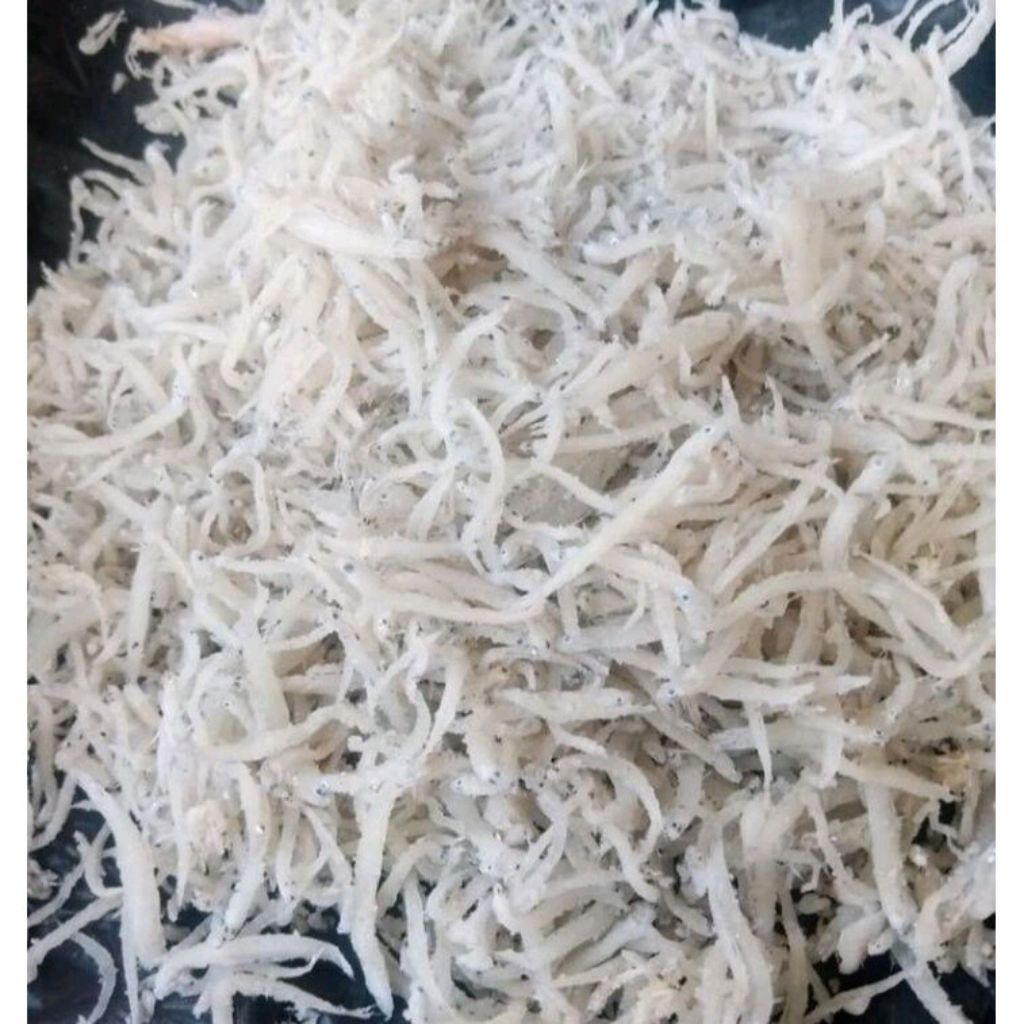 

Teri medan super berat 250 gr