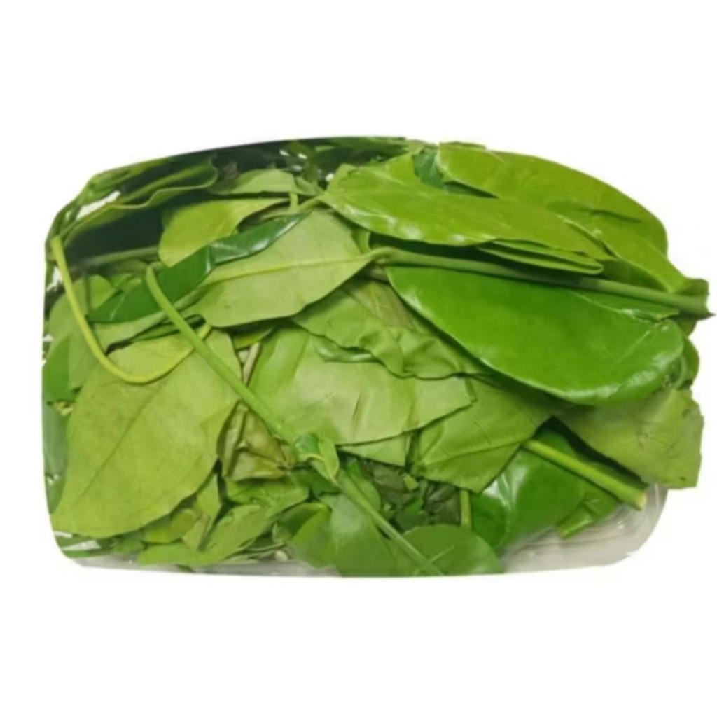 

daun mlinjo segar untuk sayur per 150 gr