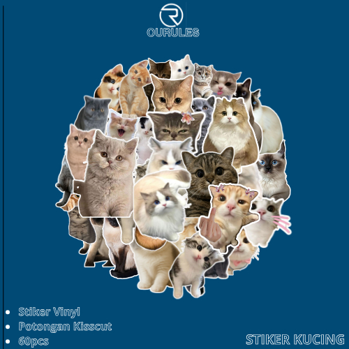 

OURULES - 60 Pcs Stiker Pack Kucing Lucu Hypebeast Aesthetic 001 VinyL Glossy Waterproof