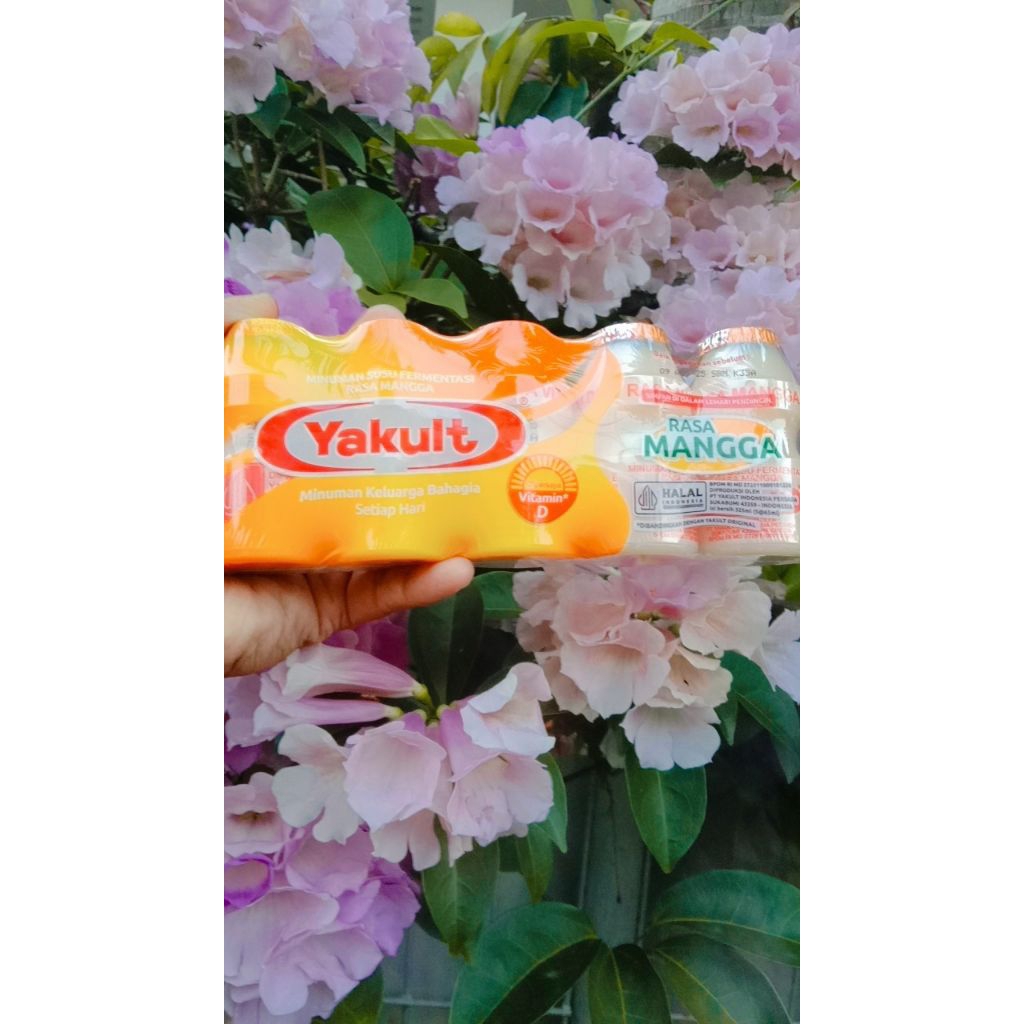 Yakult rasa mangga