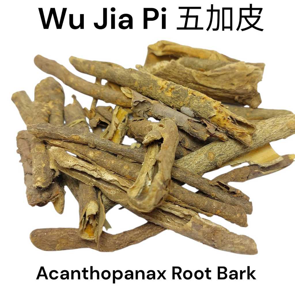 

Wu Jia Pi / U Jia Pi 250-500-600-1000g - Cortex Radicis Acanthopanacis