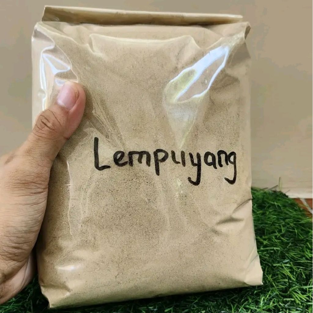 

Bubuk lempuyang organik 1kg kaya manfaat