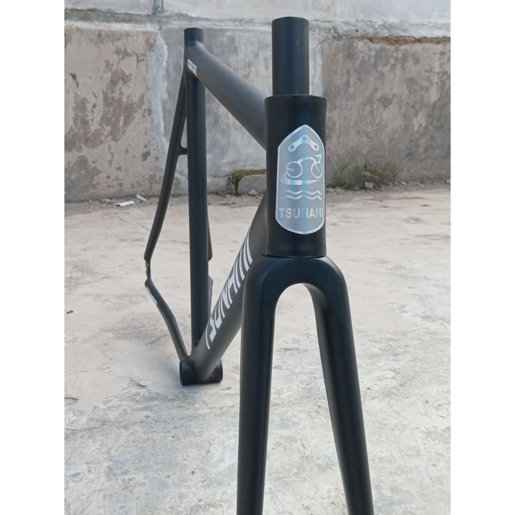 frame fork tsunami custom