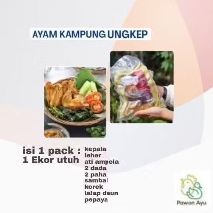 

Ayam Kampung Ungkep Frozen Food 1 Ekor Utuh