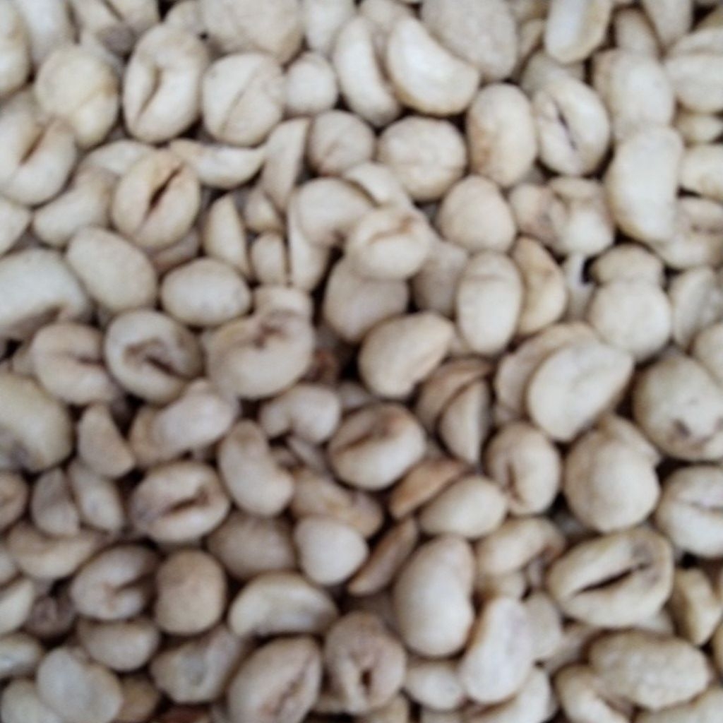 

kacang bogor jumbo 500 gram