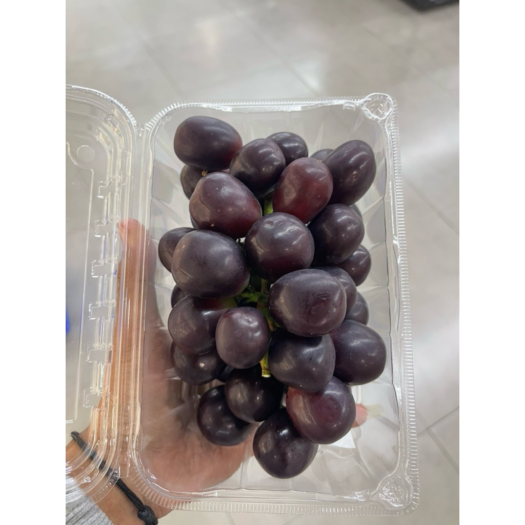 

Buah Anggur Hitam Muscat / Anggur Black Muscat Fresh 500gram / Pack