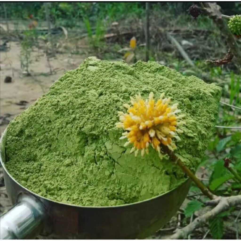 

BUBUK TEH HIJAU KESEHATAN