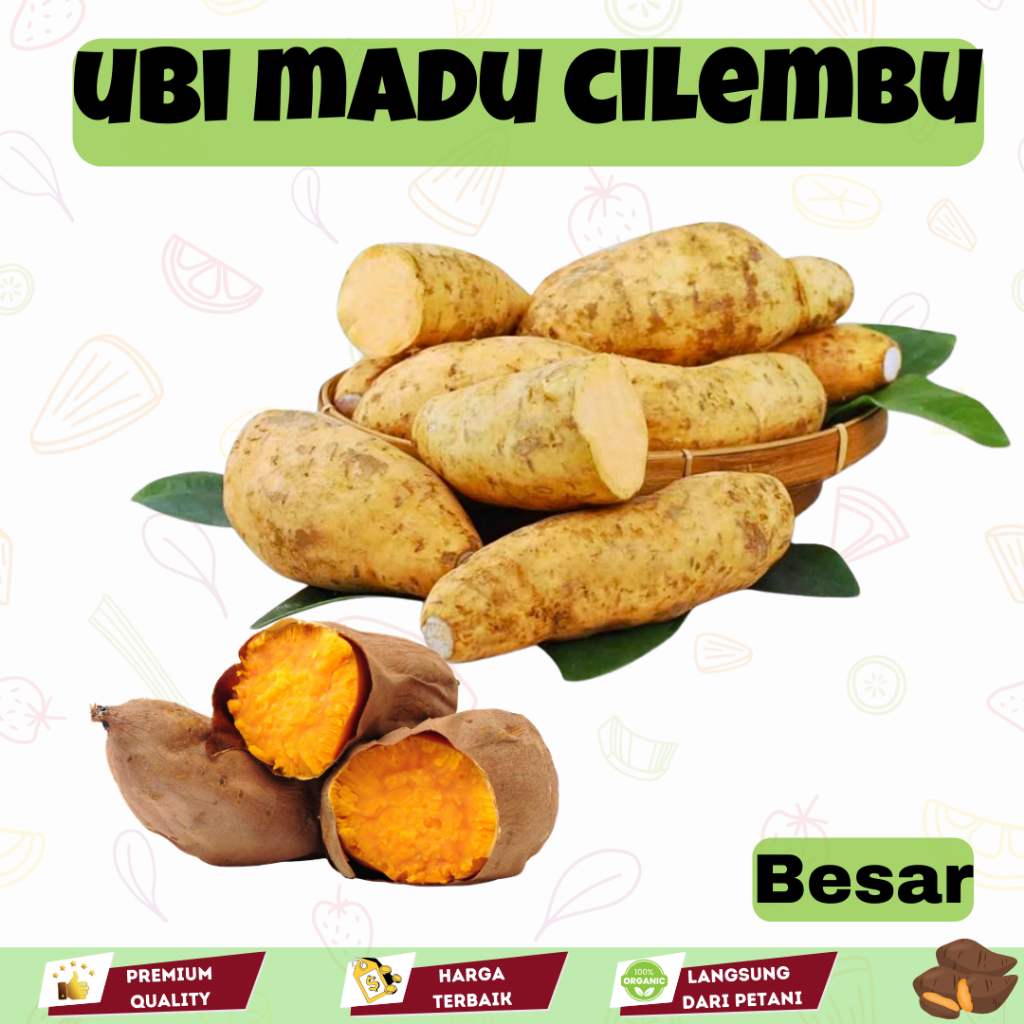 Ubi Madu Cilembu Premium 1Kg Manis Legit Segar Mentah Siap Bakar Oven Garansi Fresh Langsung dari pe