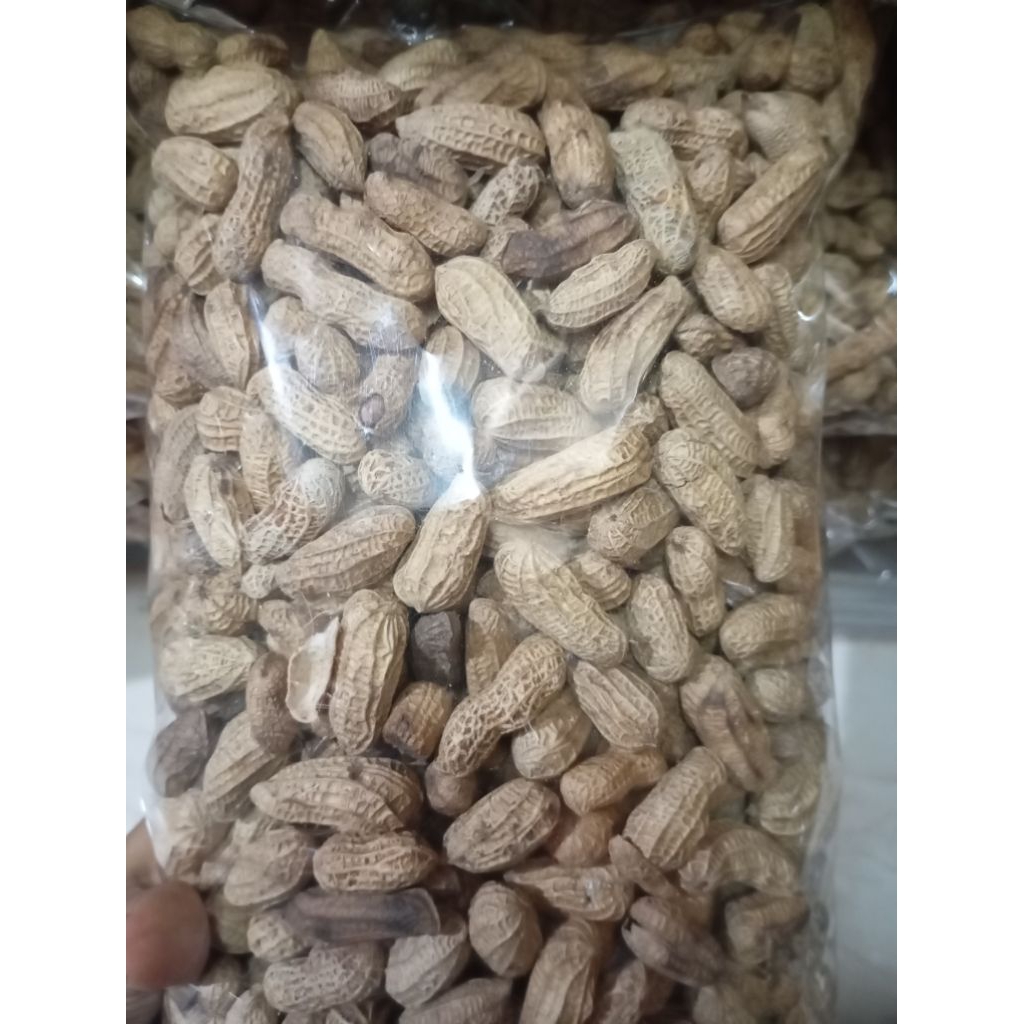 

Kacang Kulit Sangrai Panggang Diet Rendah Kalori Enak Maknyuss Renyah Peanut Nut Camilan Cemilan Kue Kering Ready Denpasar Enak Sehat Termurah Bisa Kirim Instant Instan Makanan Ringan Kacang Kacangan Kulit