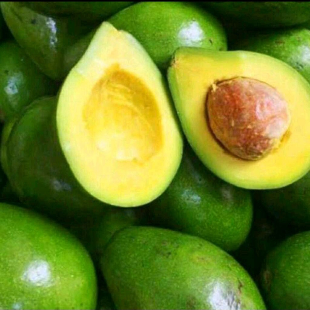 

Alpukat Mentega 1KG Mini isi 6-7 Buah