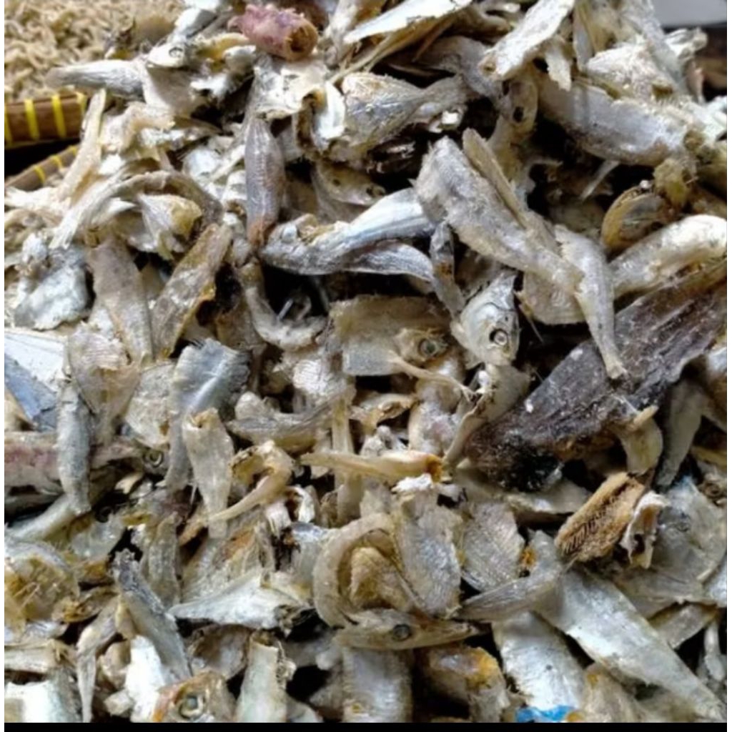 

ikan sampah campur medan tanjung balai 1 kg