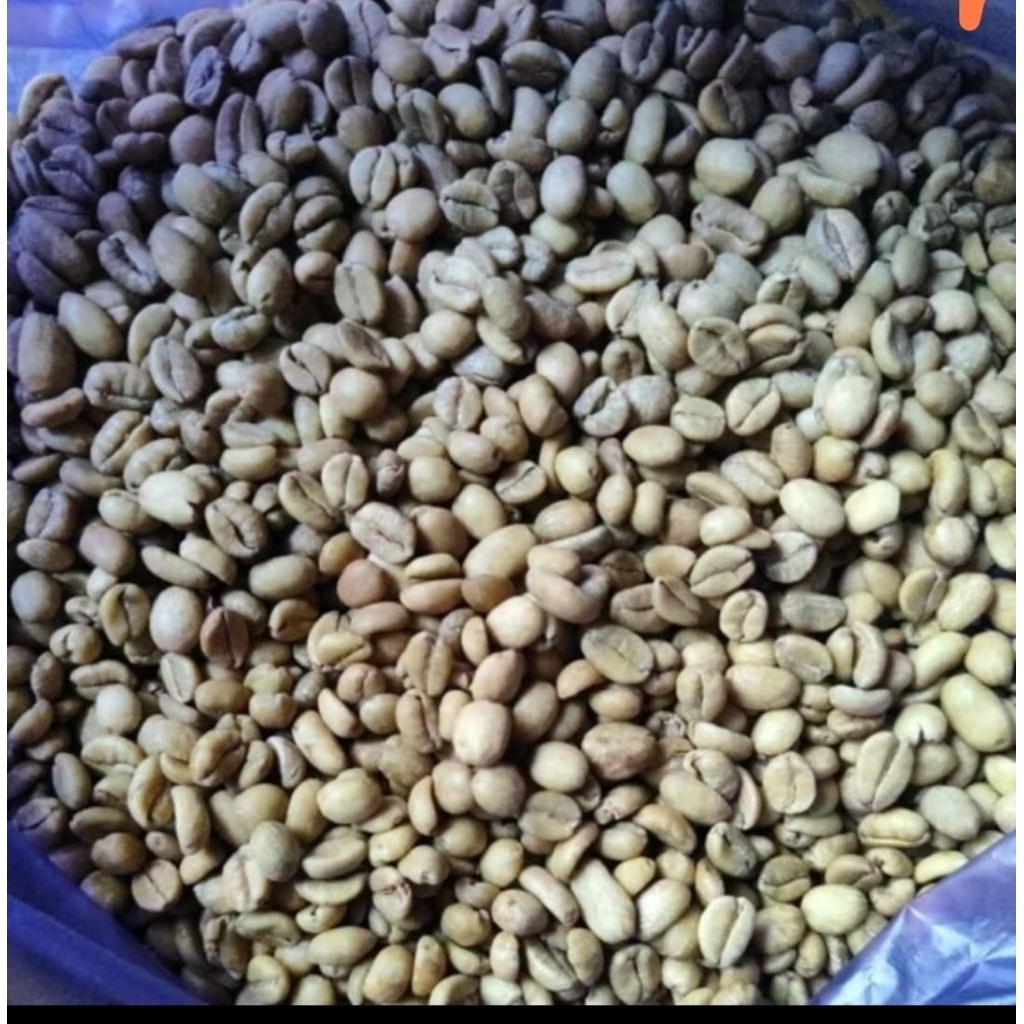 

Biji kopi mentah Excelsa wonosalam Grade 1