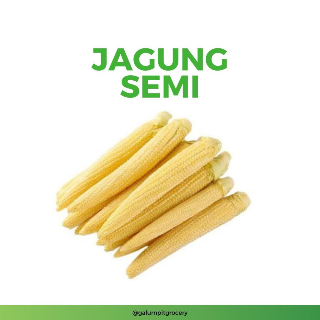 

Jagung Semi / Baby Corn Segar 230-250gr | Kirim Instant Bandung Timur