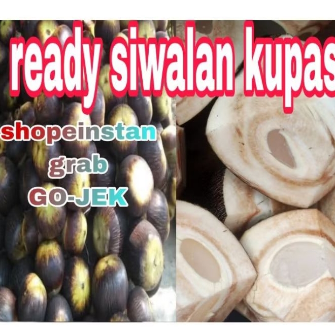 Siwalan kupas/lontar