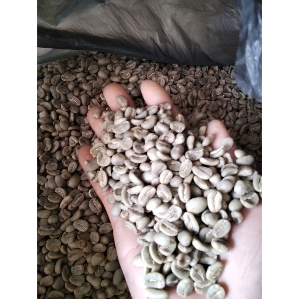 

1 KG GREENBEAN ARABICA FULLWASH GRADE 1 /ARABICA GUNUNGKAWI,ARABICA ORGANIK.