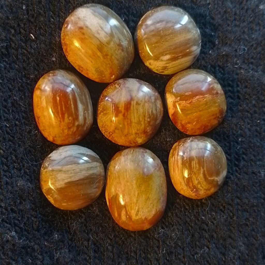 Natural Batu Fosil Kayu Jati Orange Asli Alami