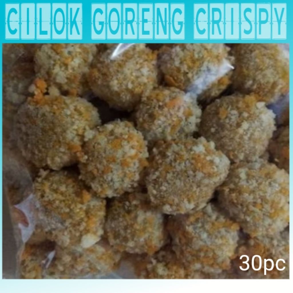 

cilok crispy isi 30