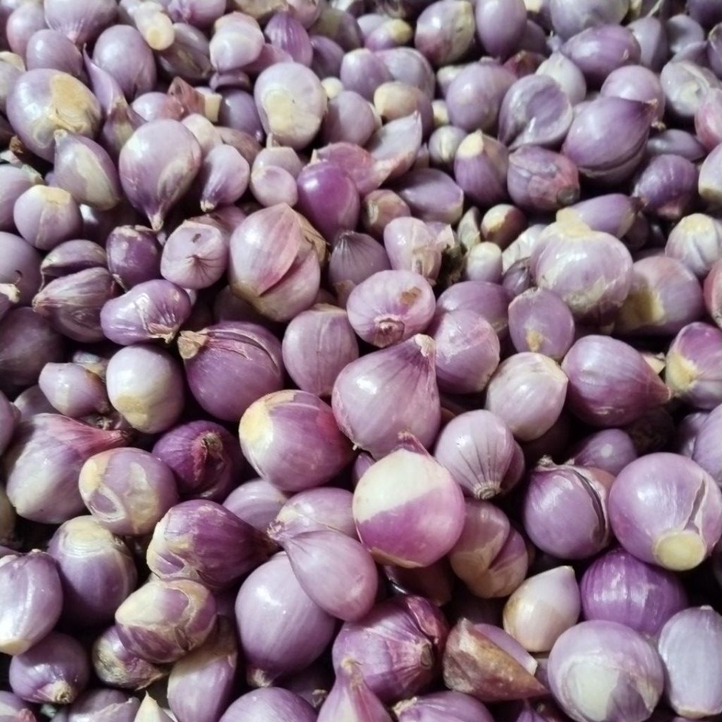

BAWANG MERAH KUPAS ¼