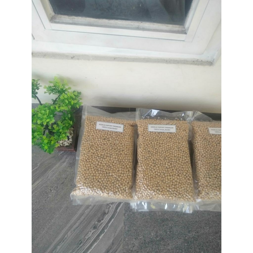 

Kacang Kedelai PREMIUM impor Grade A