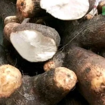 

umbi uwi putih pulen,siap masak, makanan gurih alternatif nasi dan camilan per kilogram