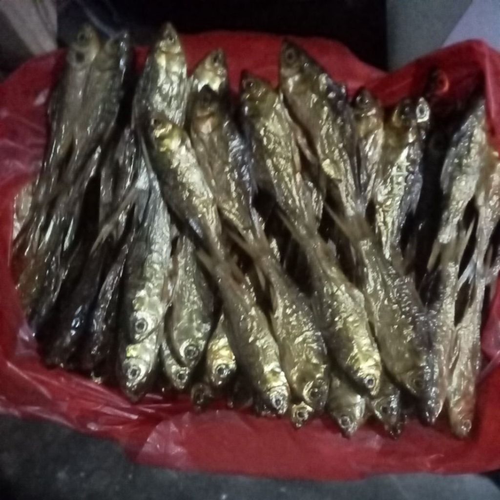 ikan salai/asap motan