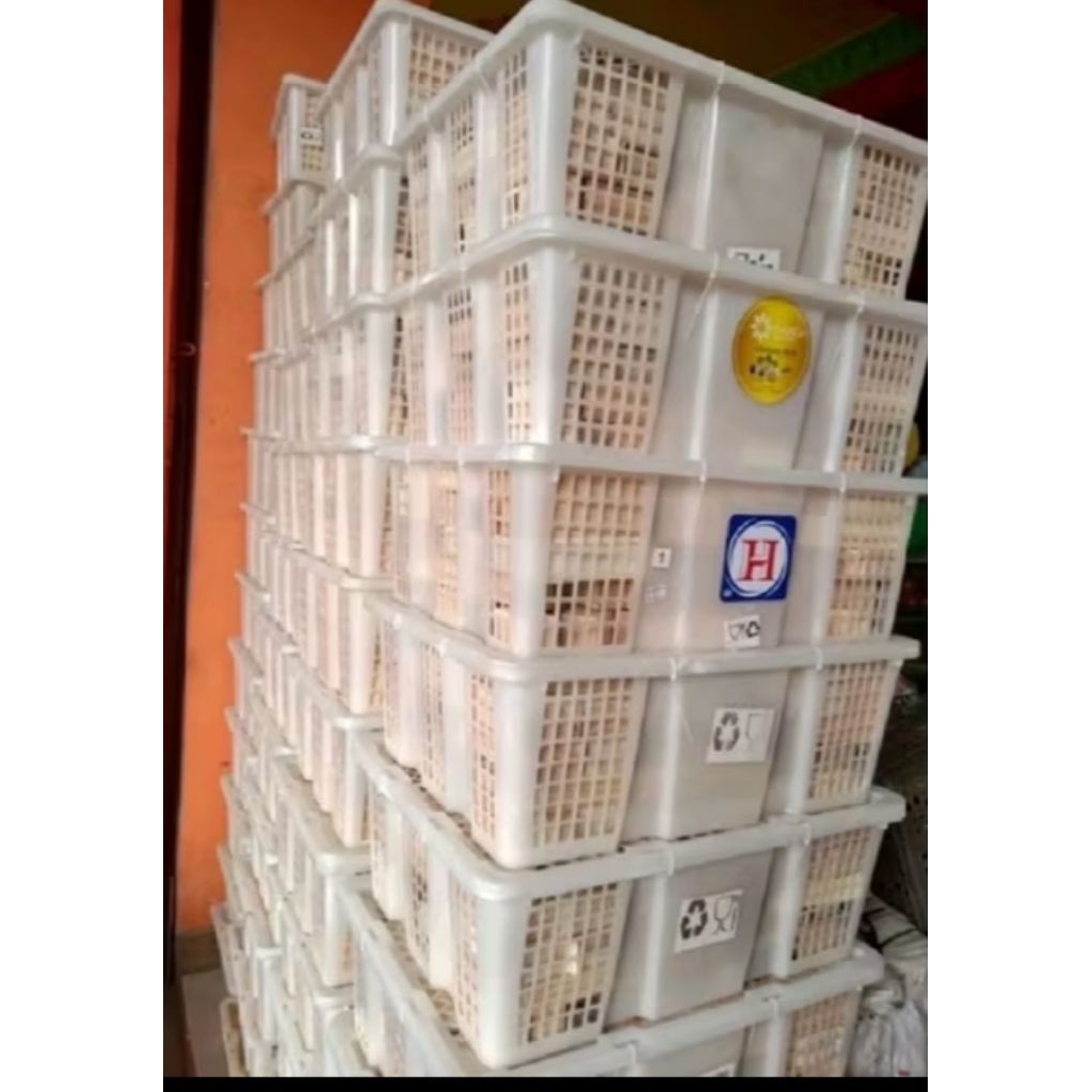 Balok PDK Kayu Natural