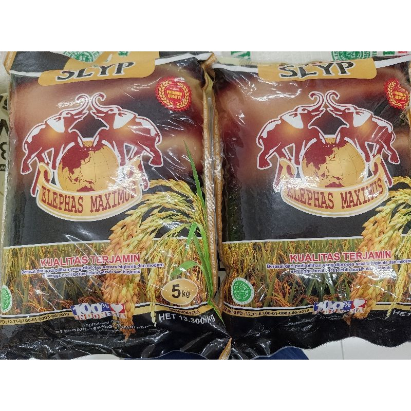 

Beras SLYP Elephas Maximus Beras Gajah 5 Kg