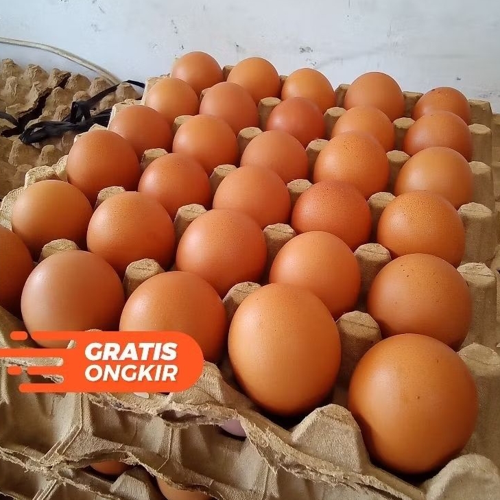 PROMO TELUR  AYAM 1 kg (BANDUNG- KAB.BANDUNG)