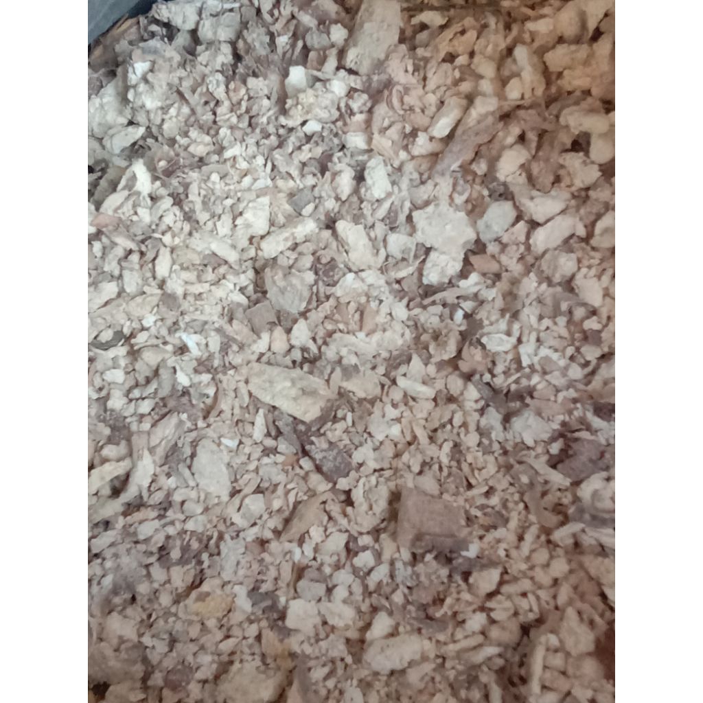 gaplek singkong telo kering