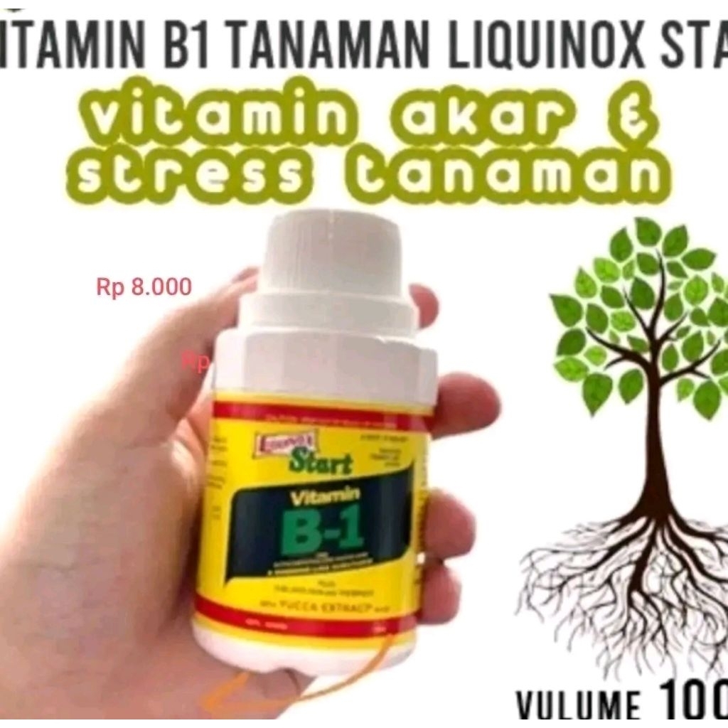 pupuk vitamin b 1 liquinox
