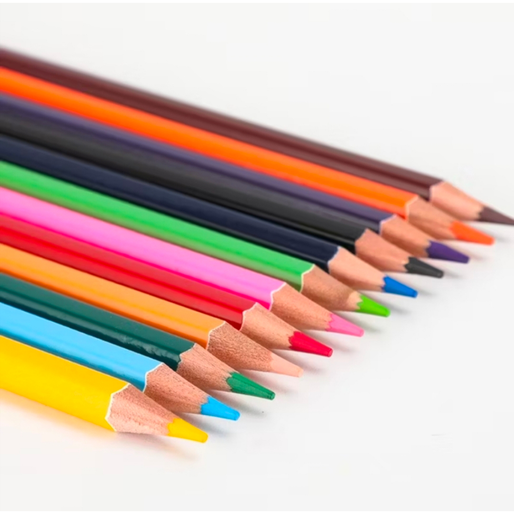 Pensil Warna Panjang 12 Warna Anak Sekolah Pastel Neon Soft Colour