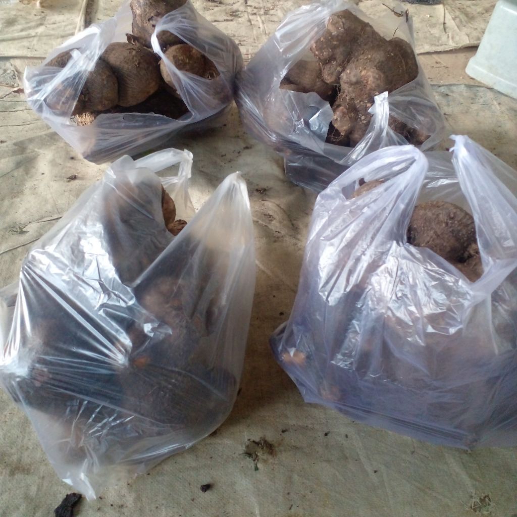 

pesanan uwi bu nurhadi