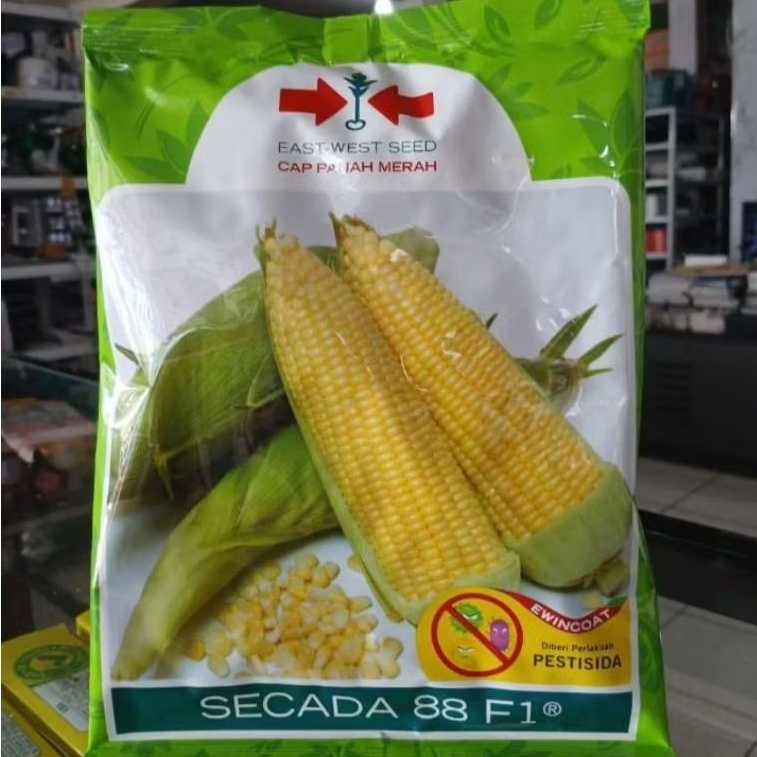 benih jagung manis hibrida f1 secada cap panah merah